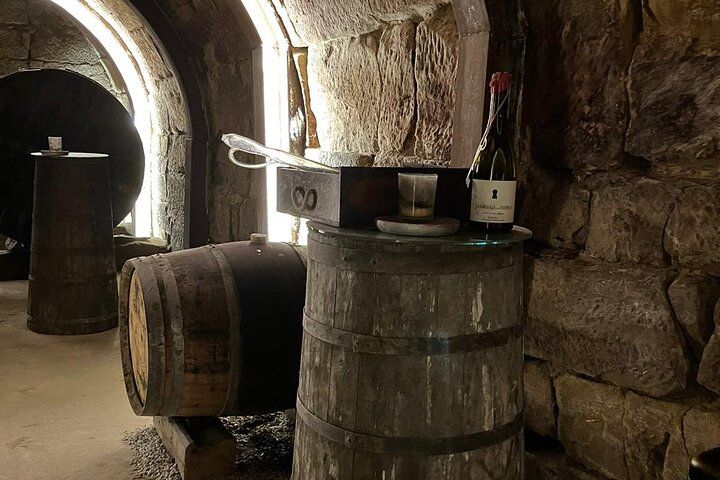 Rioja Wine Tour with Pintxos Lunch & Expert Guide