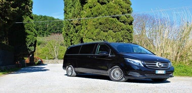 Tasting in a Tuscan Vineyard with transfer from Lucca