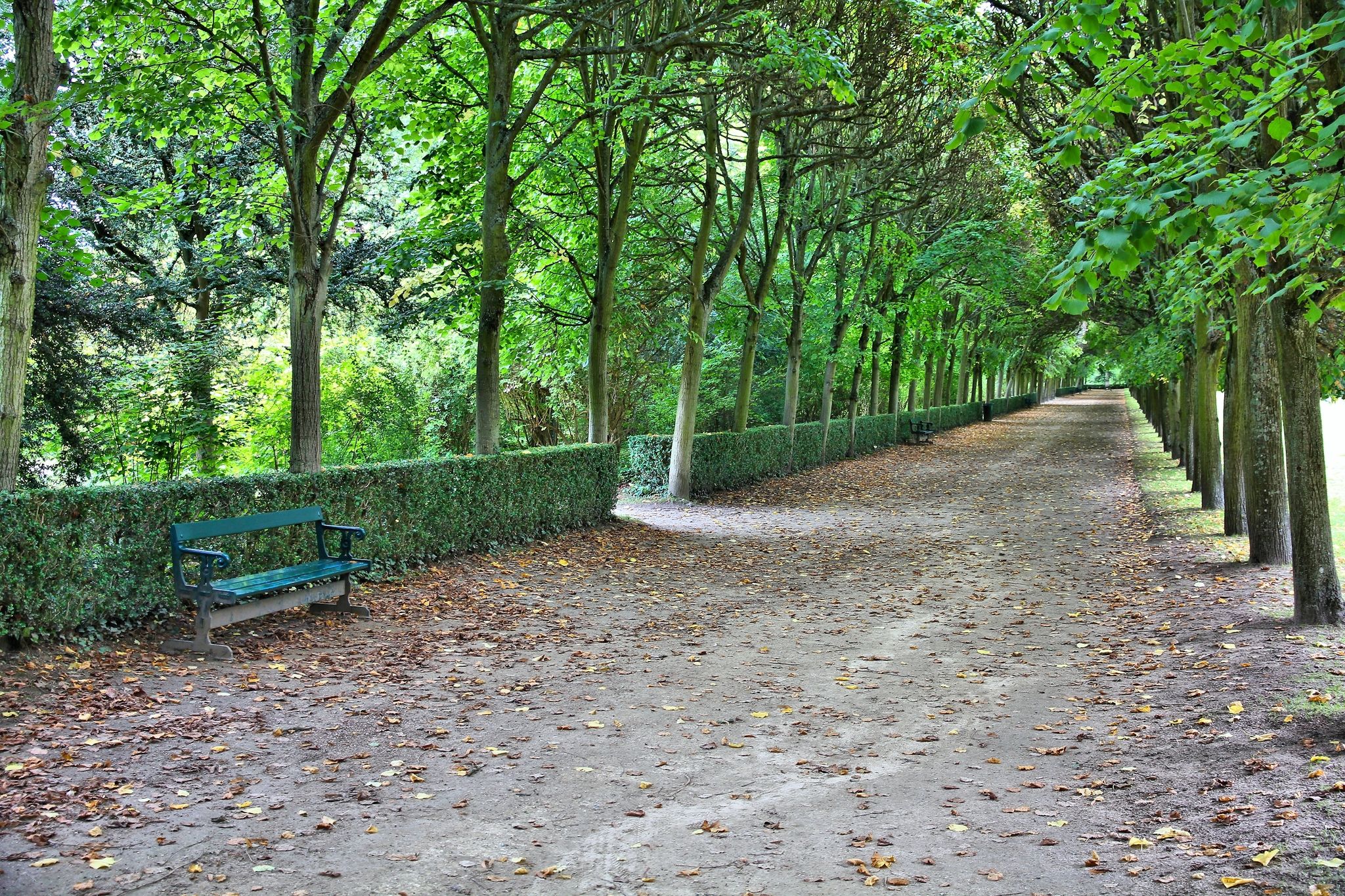 Photo of Compiegne beautiful gardens in Picardy region, France.