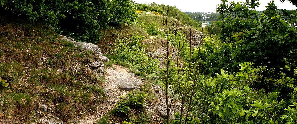 Photo of nature reserve Radouč, Czech Republic.