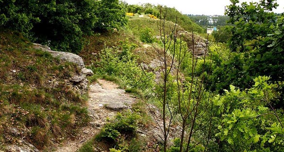 Photo of nature reserve Radouč, Czech Republic.