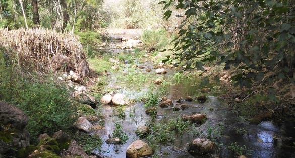 Fonte Benémola , Loulé	Portugal