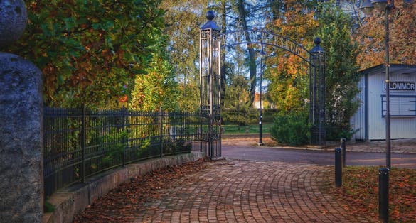 photo of morning hours in the park Boulognerskogen in Autumn in Gävle, Sweden.