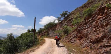 Tour in eBike Riserva Gola del Furlo and Tartufo