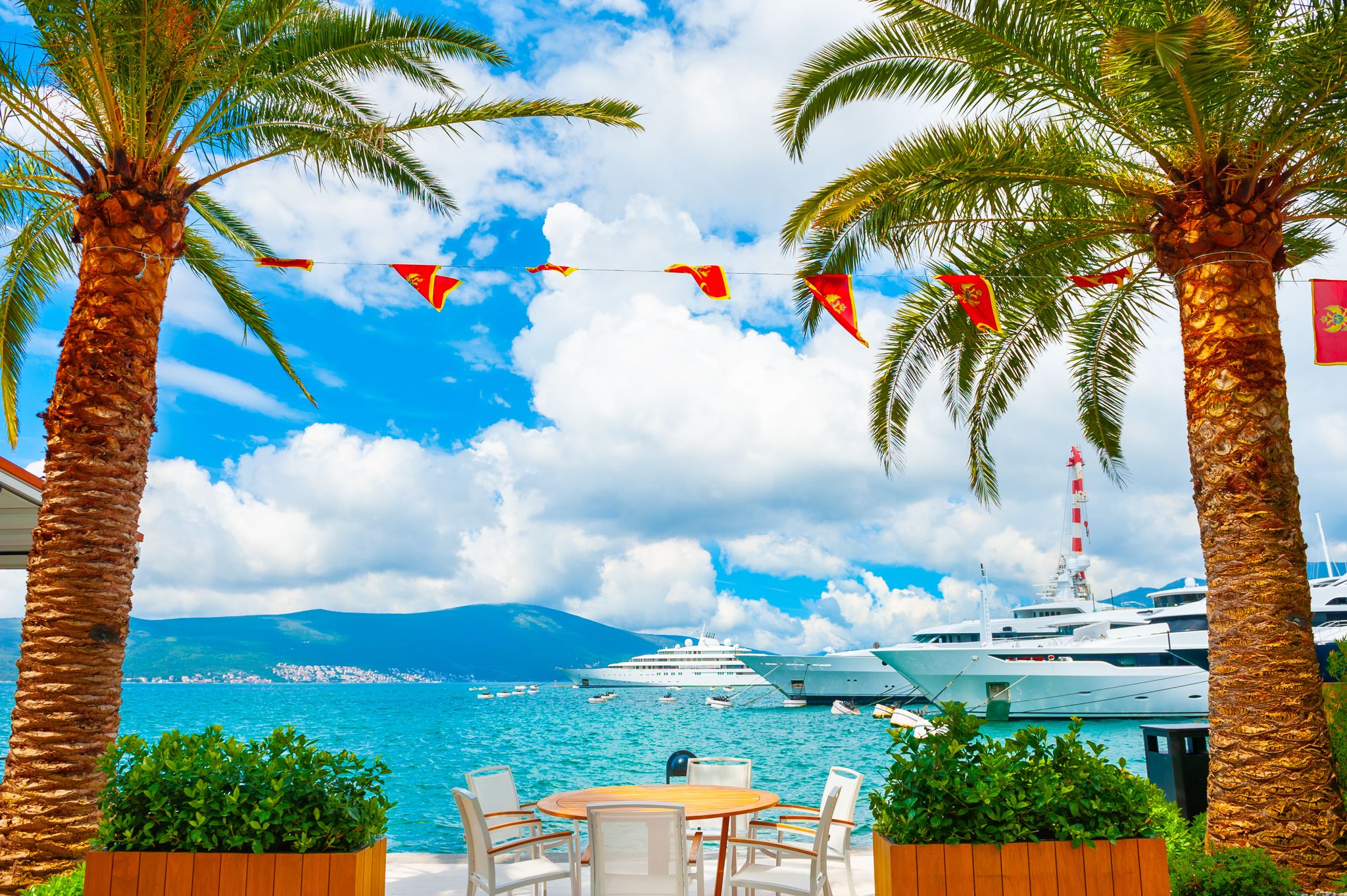 Photo of beautiful sea promenade with palms in Tivat, Montenegro.