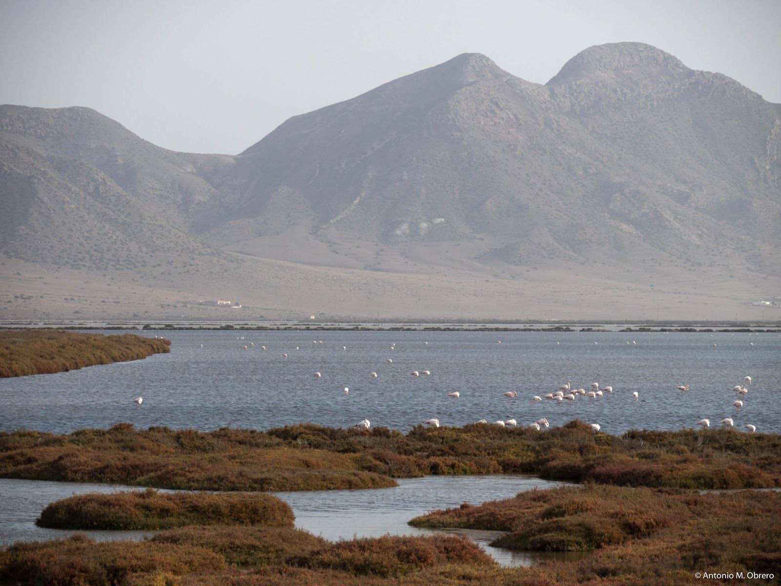 Salinas del Cabo de Gata, Almeria, Andalusia, Spain