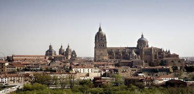 Best Private Full day Tour to Salamanca from Madrid hotel