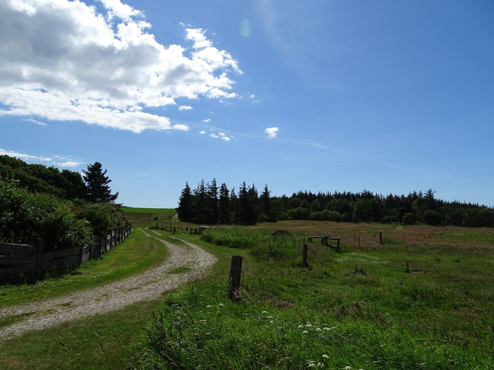 Myrthuegård, MYRTHUE - Kultur, Natur & Læring, Esbjerg Municipality, Region of Southern Denmark, Denmark