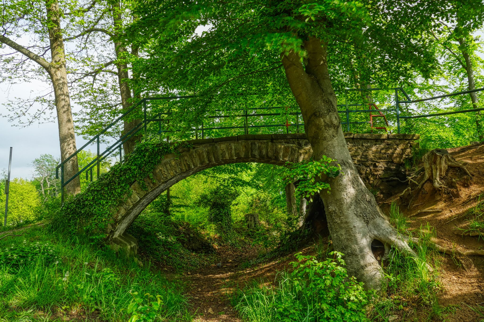 Photo of Old bridge to a vantage point in Hattingen,Germany.
