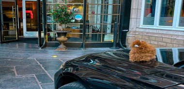 Belgium: Private Airport Transfer Service