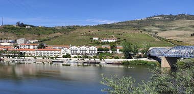 Douro Valley All-Inclusive Day Tour from Pinhão