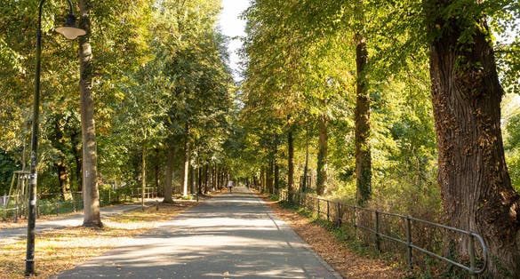 Photo of Muenster promenade with bikes