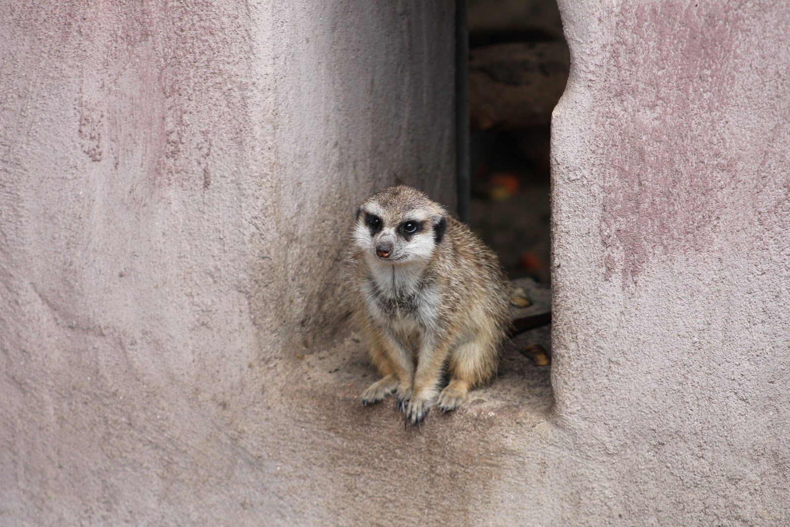 Herford Zoo, Herford, Kreis Herford, North Rhine-Westphalia, Germany