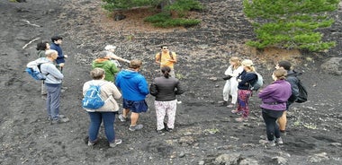 Etna, Wine and Alcantara Tour - From Taormina