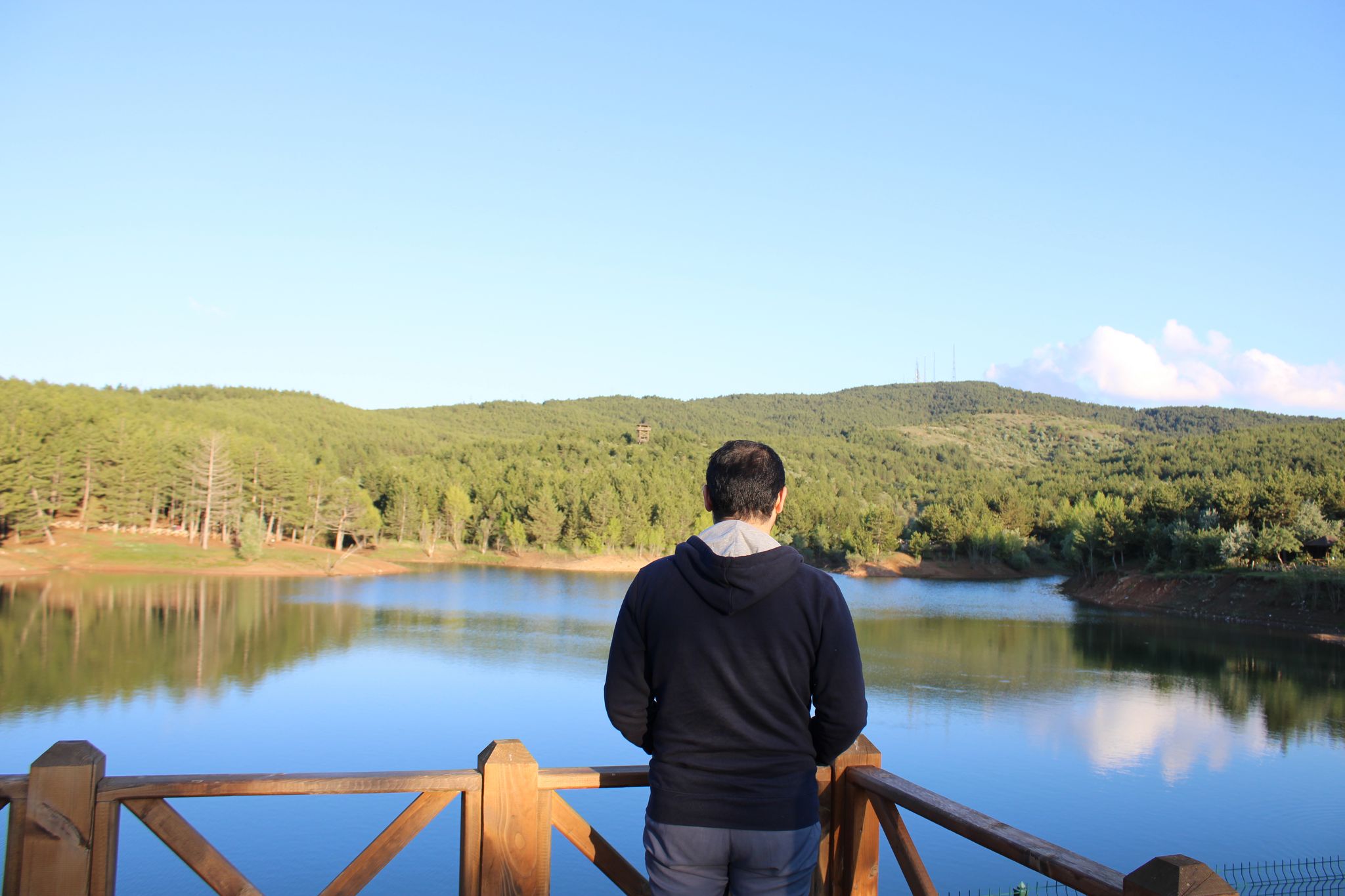 photo of man watching the lake in the Yozgat pine grove national park in Turkey.