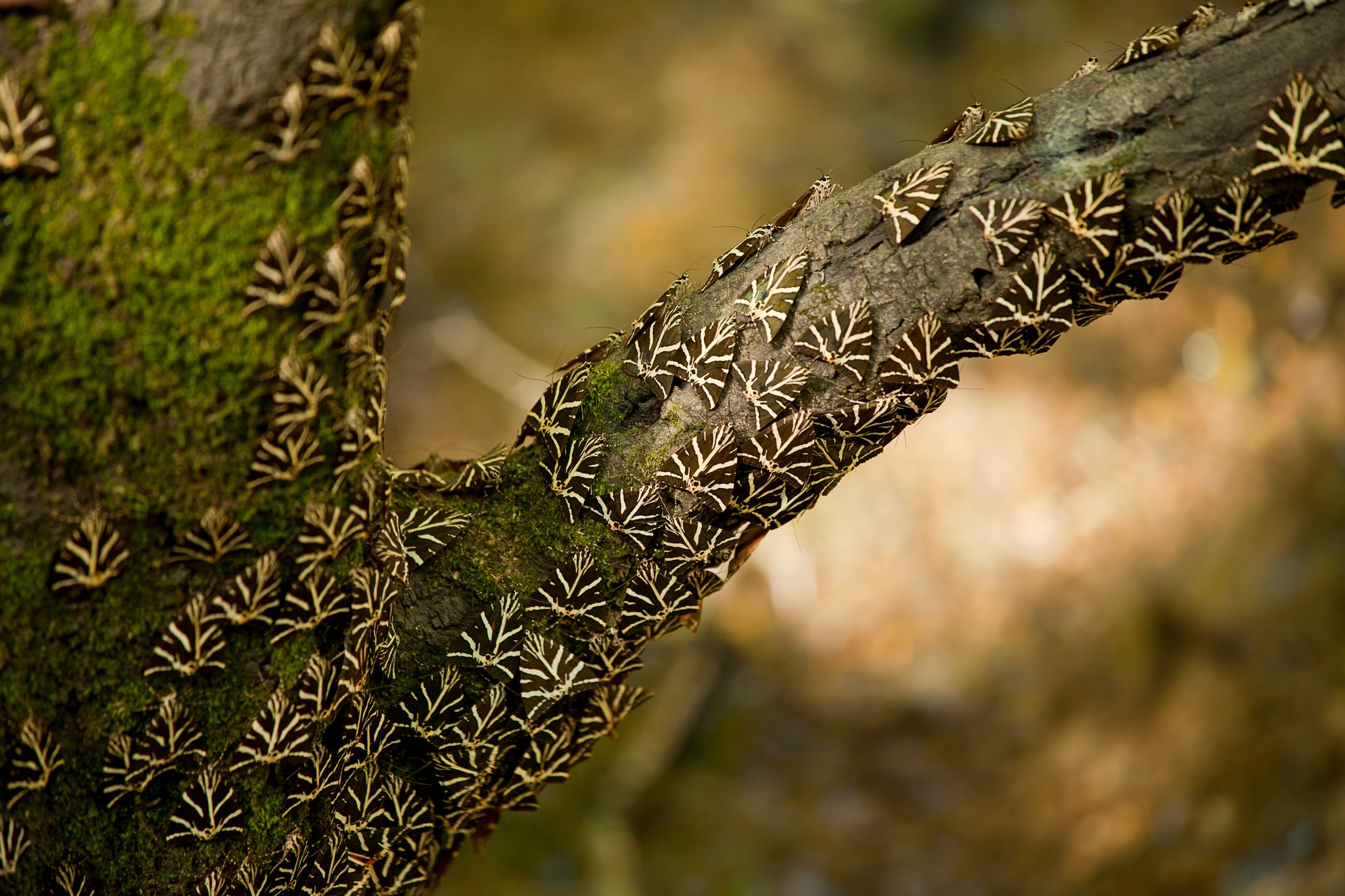 shutterstock_445708882 (1).jpg