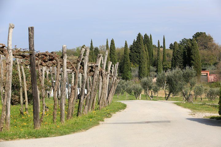 5-Course Food Tour with Electric Bikes