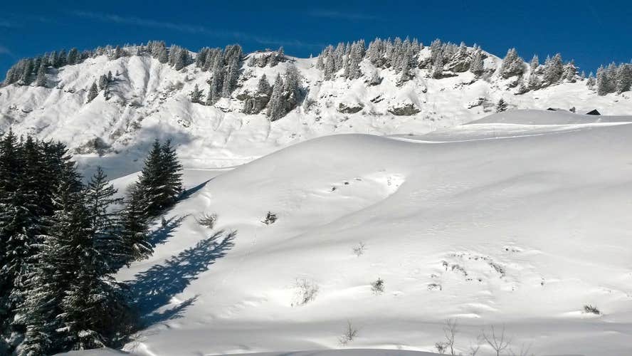 Winter Landscape at the cross country skiing centre Joux Plane, Giffre Valley, Samoens, Haute-Savoie, France