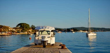 Kotor: Electric tuk-tuk tour of Boka Bay