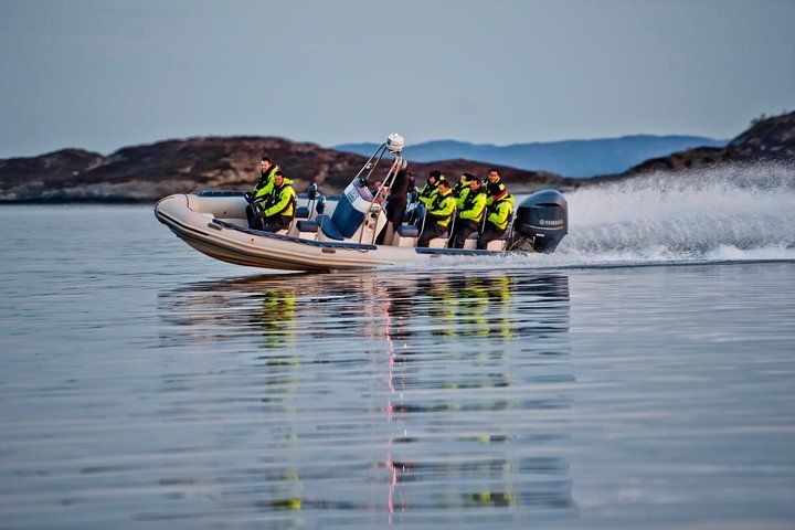 Lysefjord RIB Safari from Stavanger