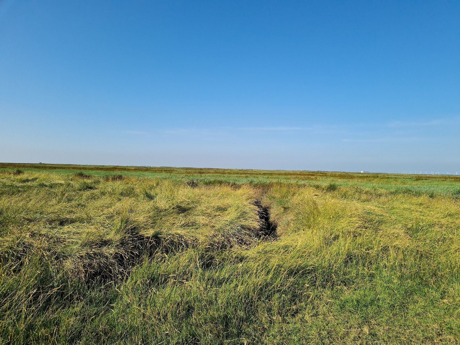 Drowned Land of Saeftinghe, Nieuw Namen, Hulst, Zeeland, Netherlands