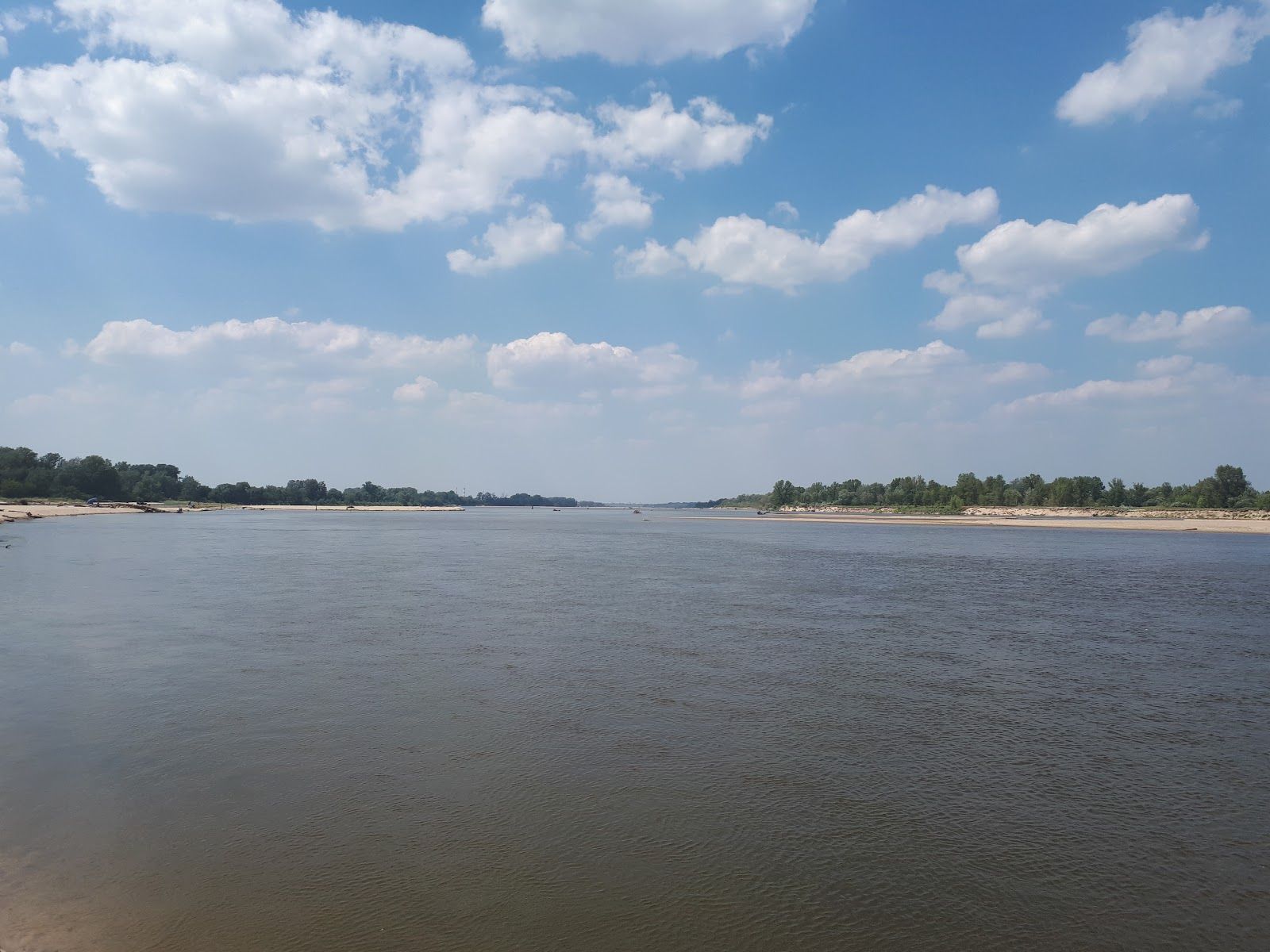 Rezerwat przyrody Wyspy Świderskie, Ciszyca, gmina Konstancin-Jeziorna, Piaseczno County, Masovian Voivodeship, Poland