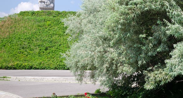 Park view for Westerpaltte monument