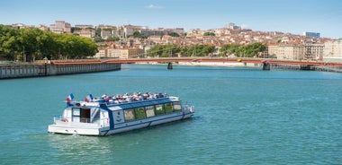 Lyon: Guided Sightseeing Cruise