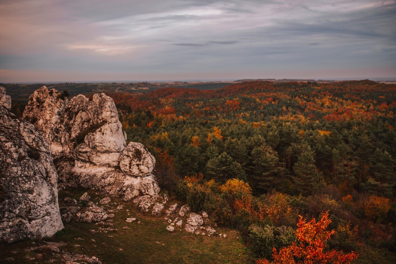 Center for Natural and Cultural Heritage of the Jury, gmina Kroczyce, Zawiercie County, Silesian Voivodeship, Poland