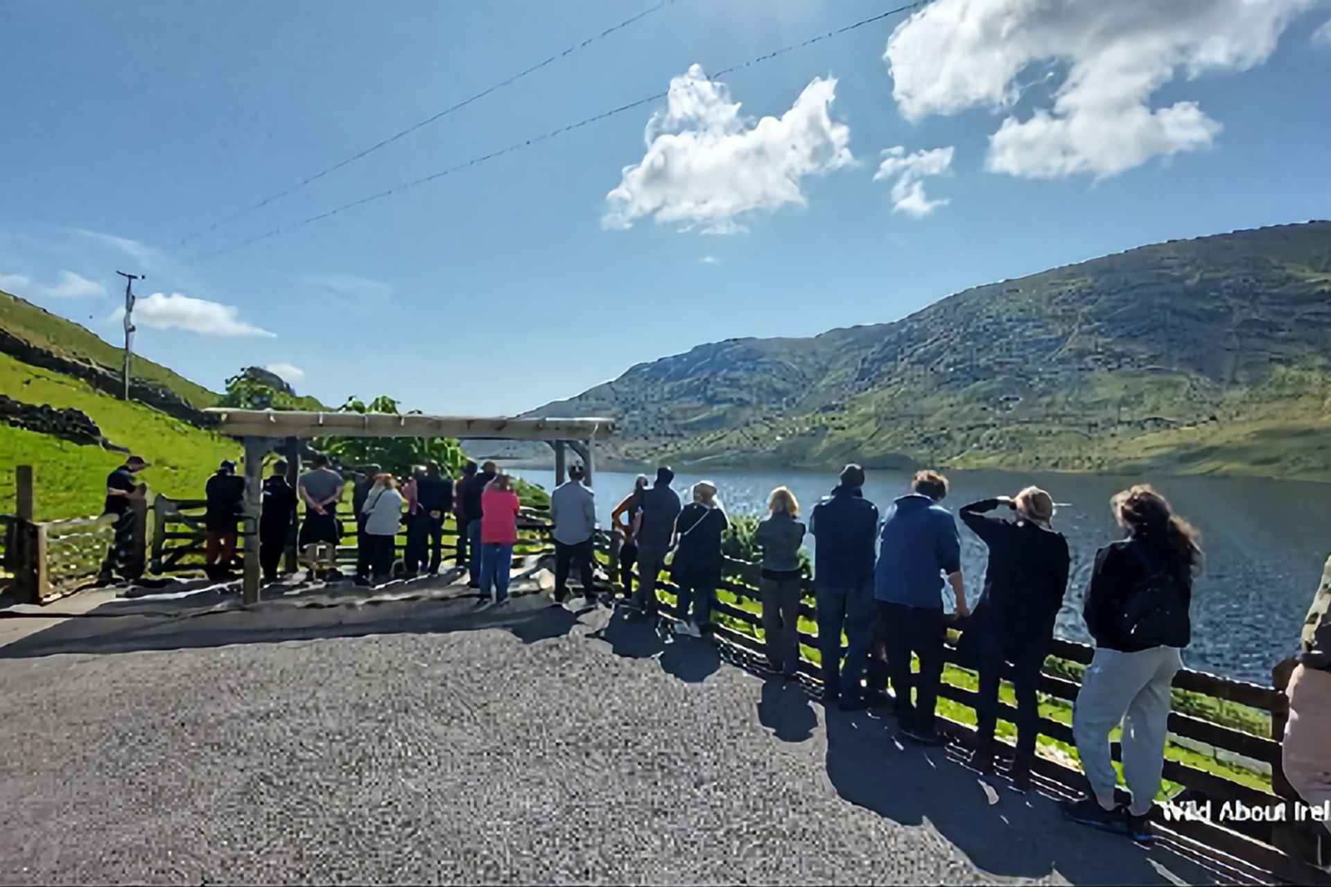 Galway: Kylemore, Sheep Farm and Connemara Private Day Tour