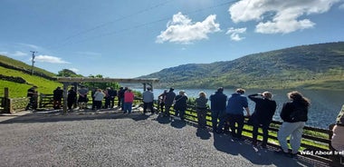 Galway: Kylemore, Sheep Farm and Connemara Private Day Tour