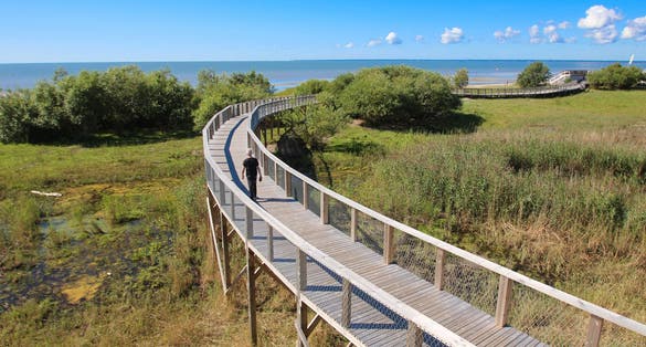 Parnu (Estonia) - Observation platform and beach