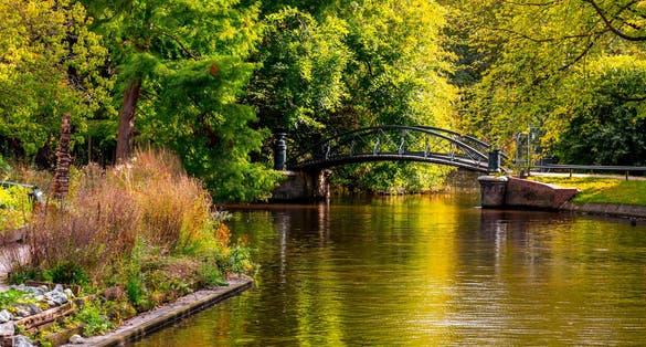 photo of view of Hortus Botanicus Amsterdam, the Netherlands.