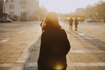 Half-day coach tours