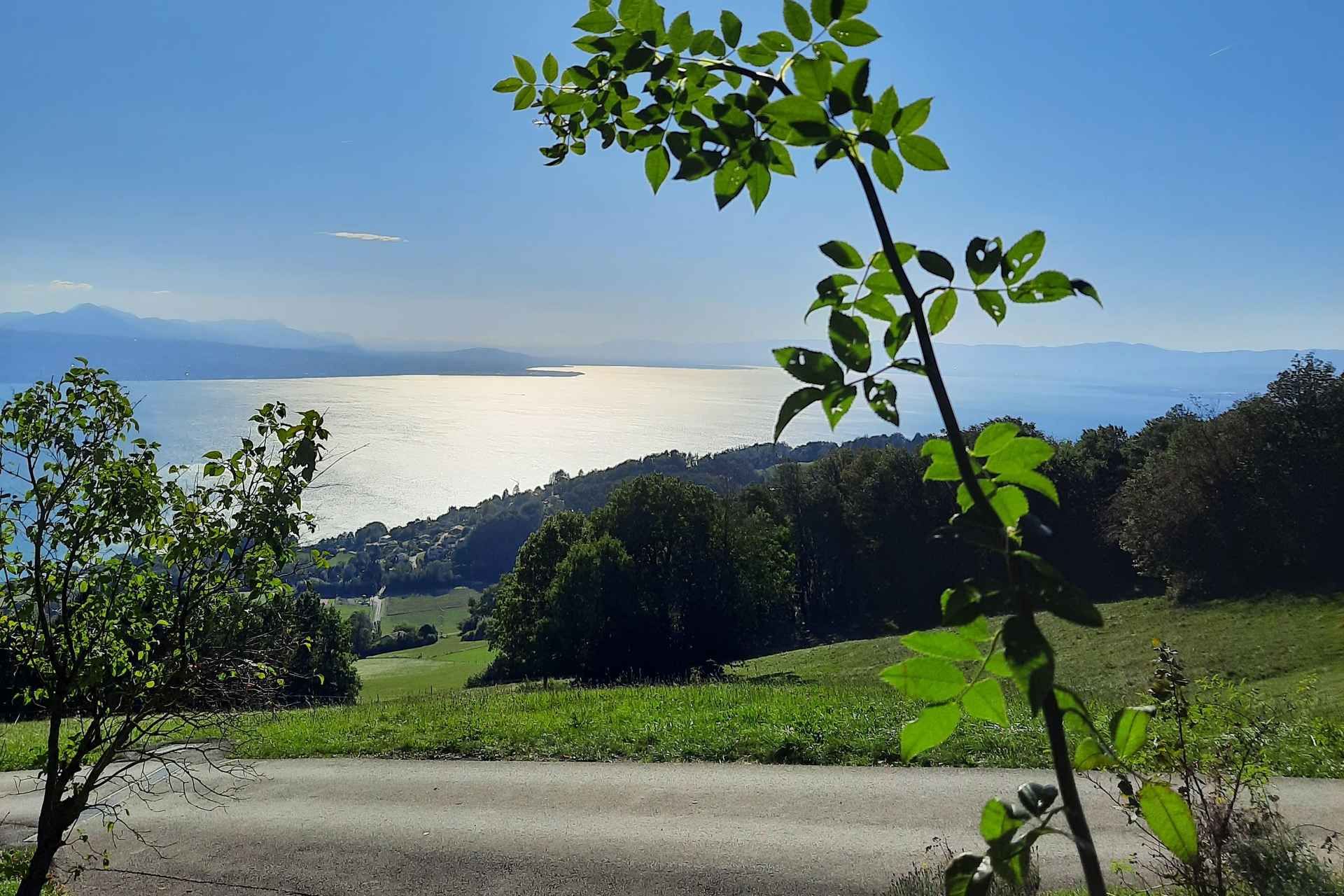 Lausanne: Walking Tour with Chocolate Tastings & Metro