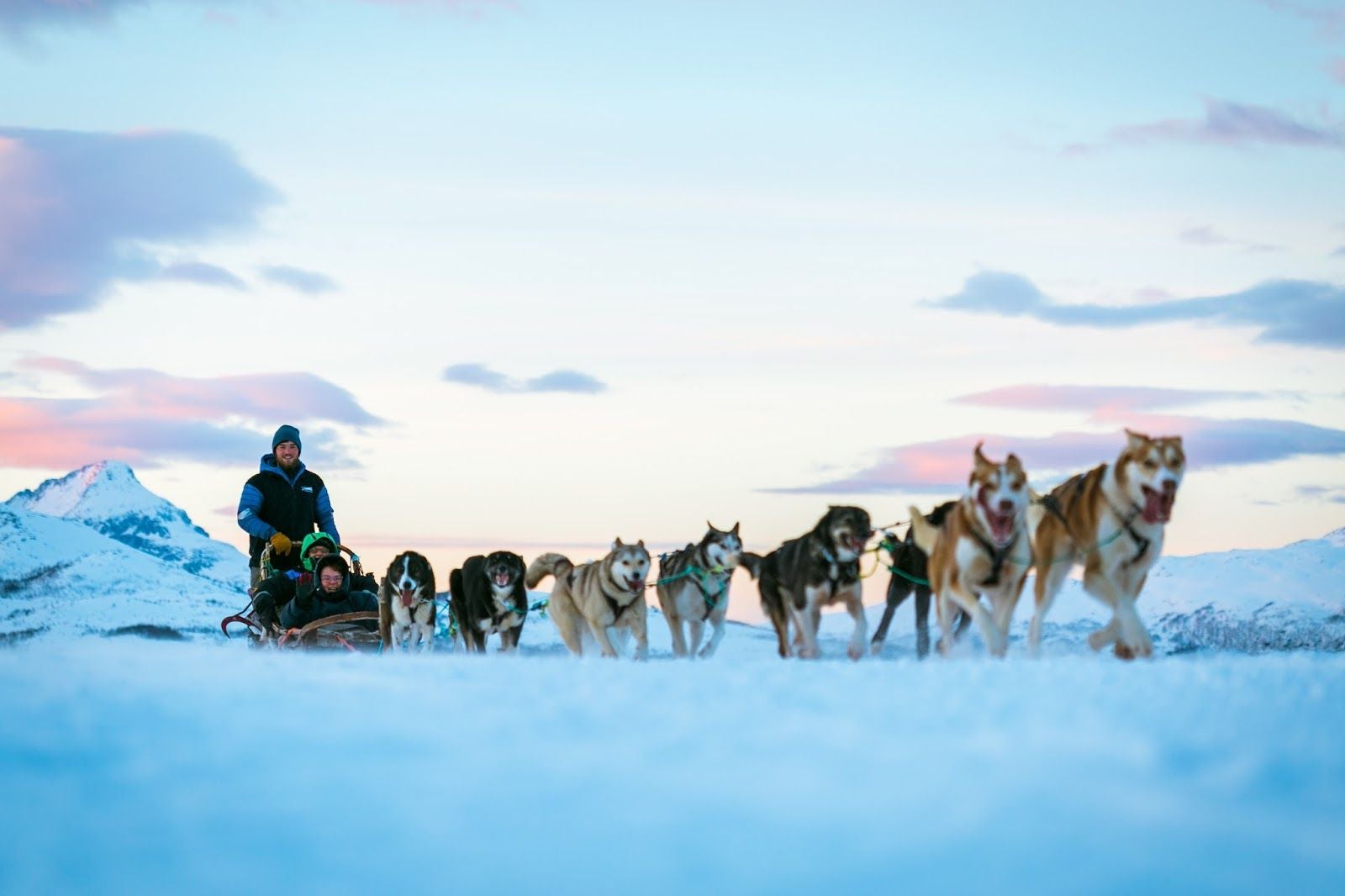 Tromso Wilderness Center - Dog sledding, Tromsø, Troms og Finnmark, Norway