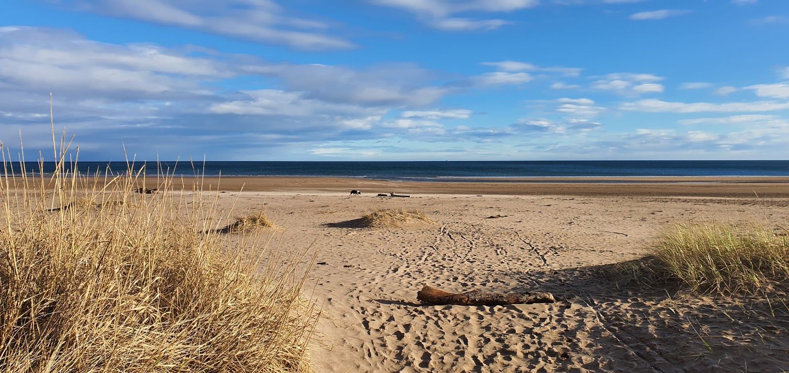 Kinshaldy Beach, Fife, Scotland, United Kingdom