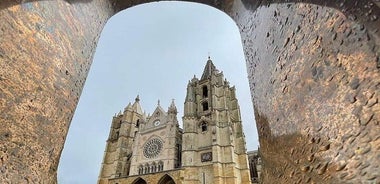 Cathedral DE Leon: tour with a Lioness art historian