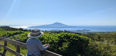 Customizable Full Day Private Tour of Faial