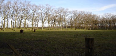 Brugge - region in Belgium