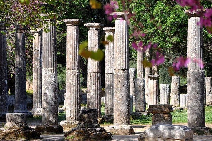 Olympia Shore Ex: Ancient Olympia, Honey Farm & Olive Oil Tasting