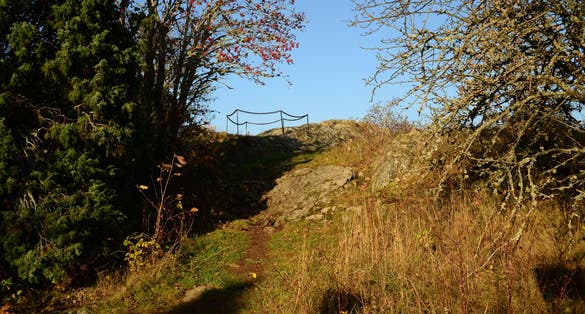 photo of trees and nature at the top of Vista Kulle where it was located Hillfort Vista Kulla in Jönköping, Sweden.