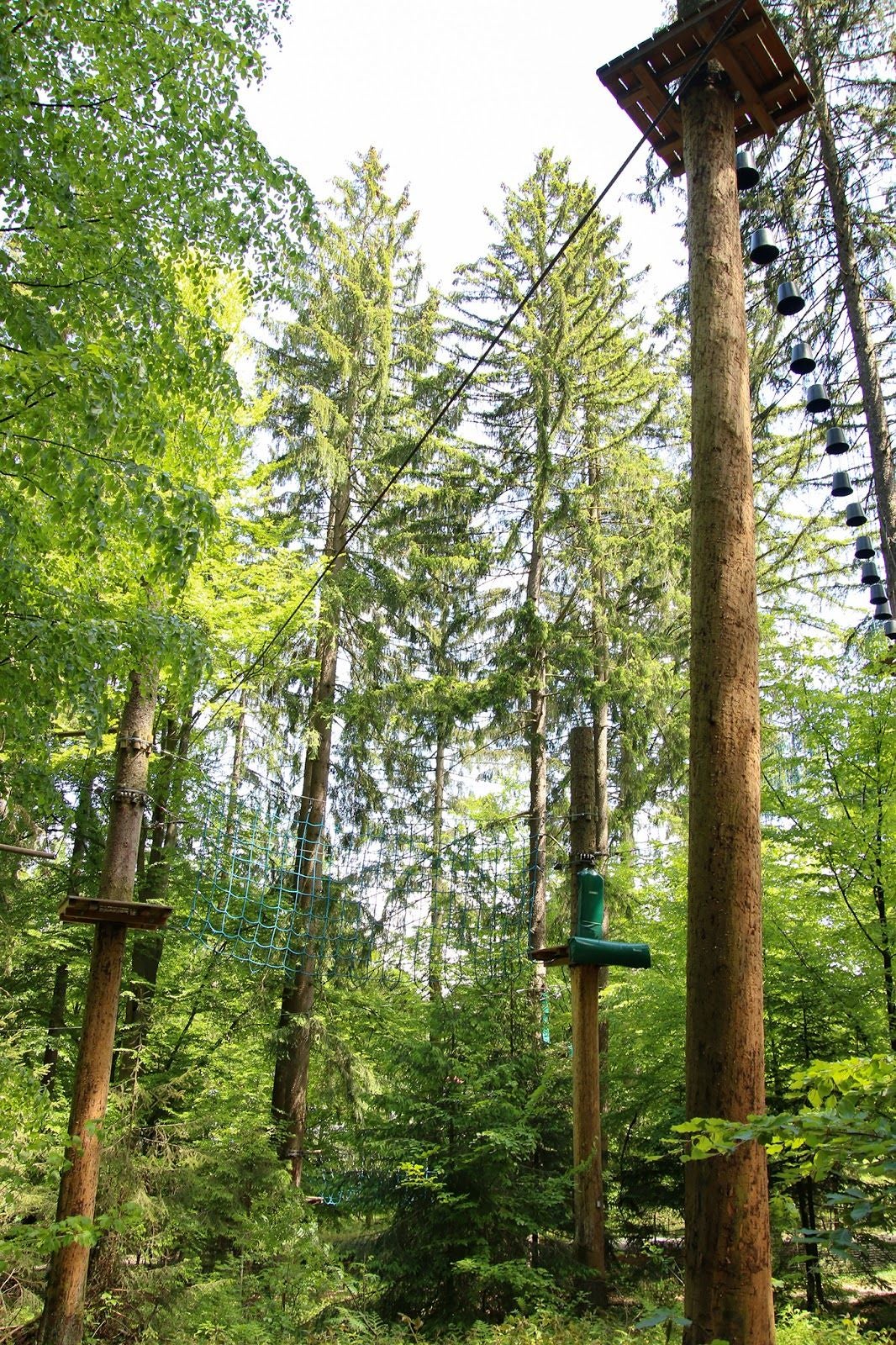 Kletterwald Waldkirchen, Waldkirchen, Landkreis Freyung-Grafenau, Bavaria, Germany
