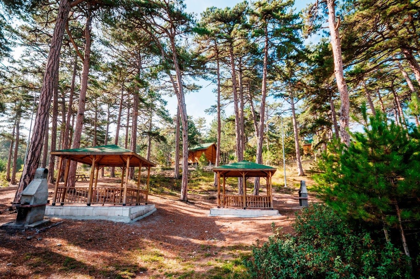 photo of Çamlica Nature Park in Kütahya, Turkey.