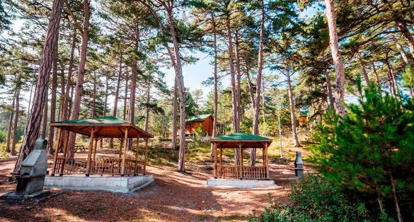 photo of Çamlica Nature Park in Kütahya, Turkey.