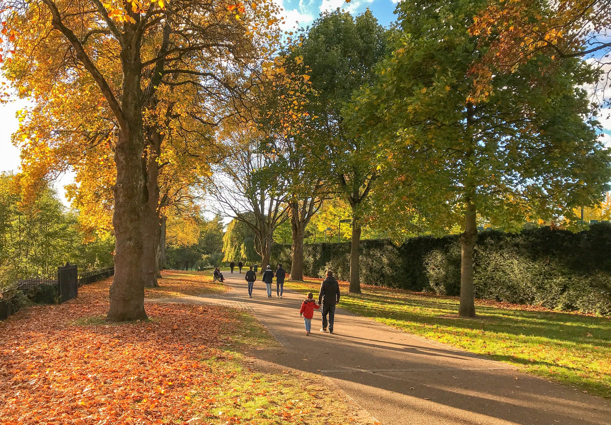 Father and son walking through Bute Park in Cardiff city centre with autumn colours in the trees and on the ground.