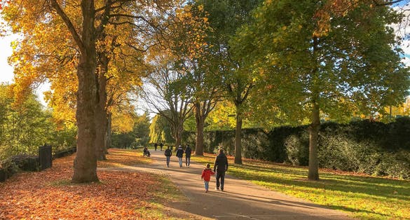 Father and son walking through Bute Park in Cardiff city centre with autumn colours in the trees and on the ground.