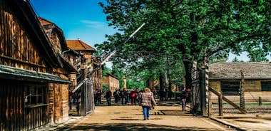 Krakow: Auschwitz-Birkenau Live Guided Tour & Hotel Pickup