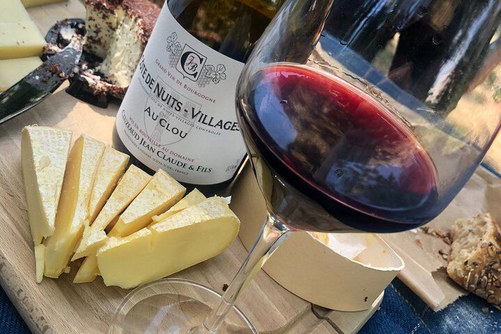 Cheese and Wine Pairing 1-Hour Session in Dijon
