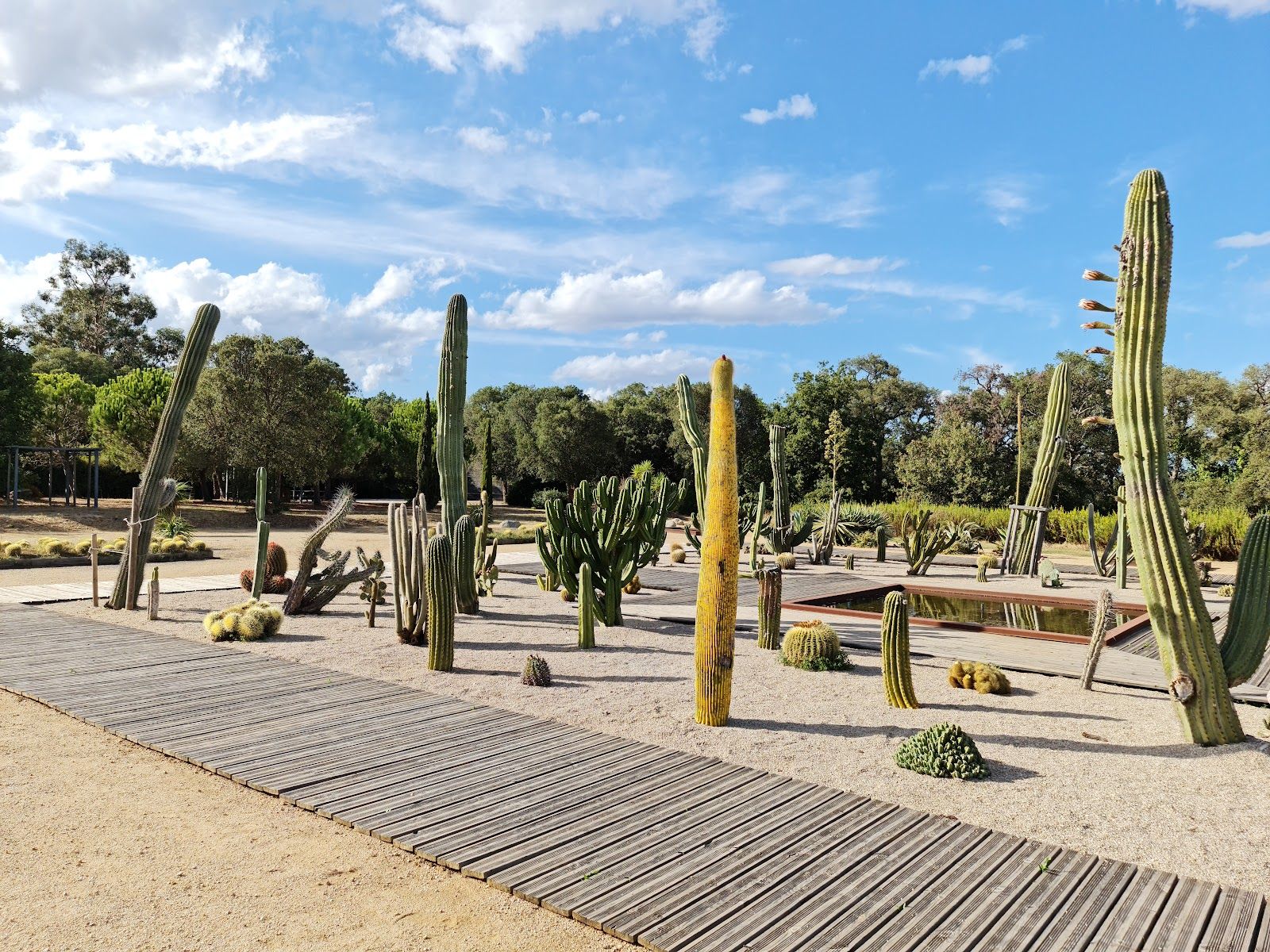 Parc Galea, Taglio-Isolaccio, Corte, Haute-Corse, Corsica, Metropolitan France, France